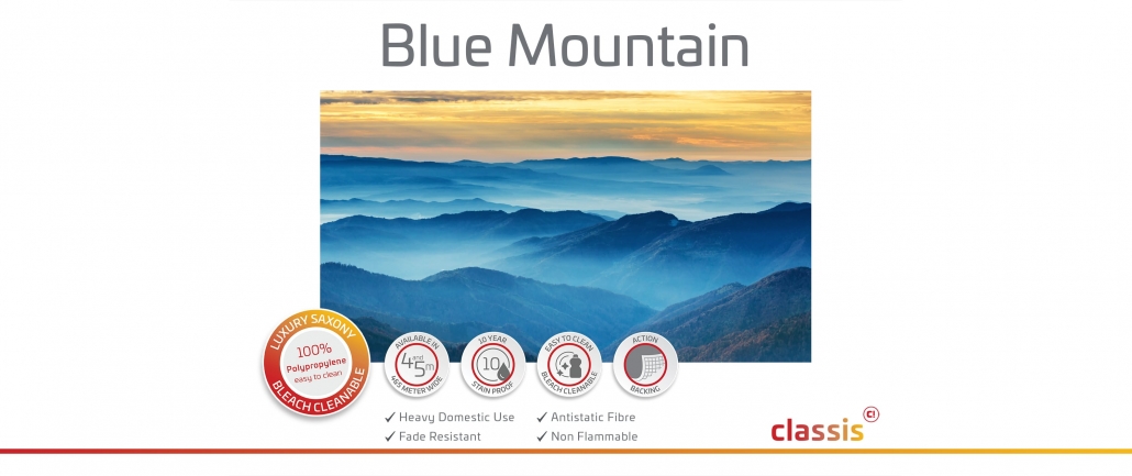 Blue Mountain Website 3000x1260px