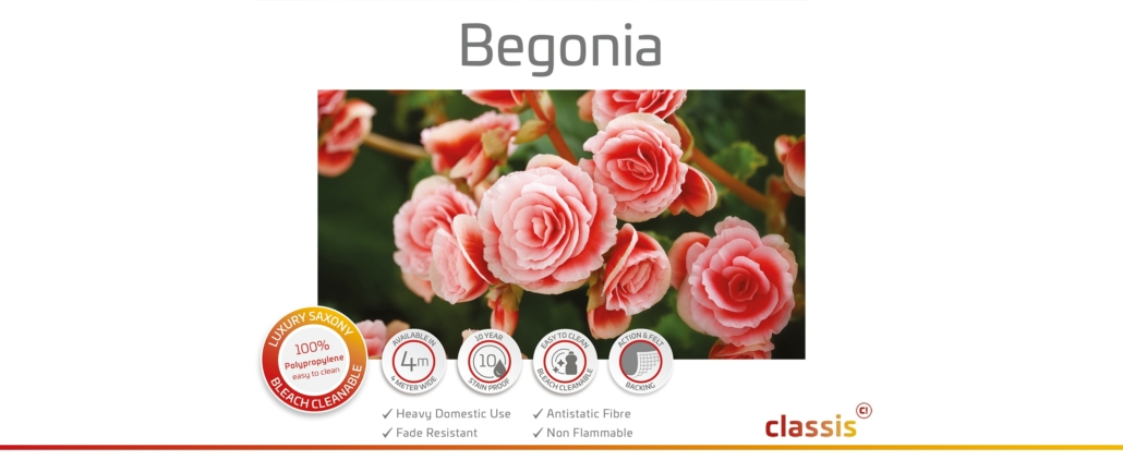 Begonia Website 3000x1260px