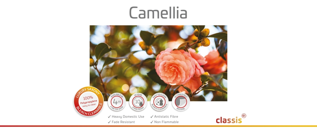 Camellia Website 3000x1260px