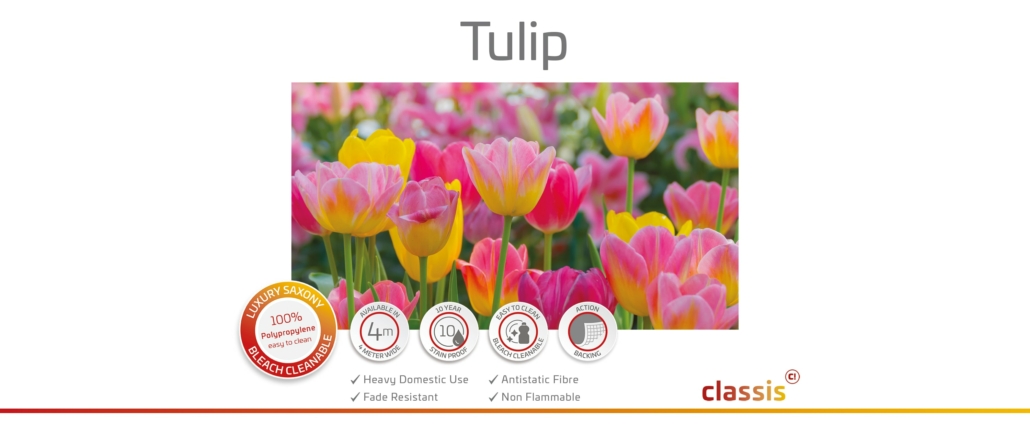 Tulip Website 3000x1260px
