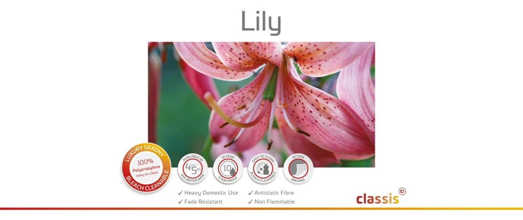 Lilie Website 3000x1260px