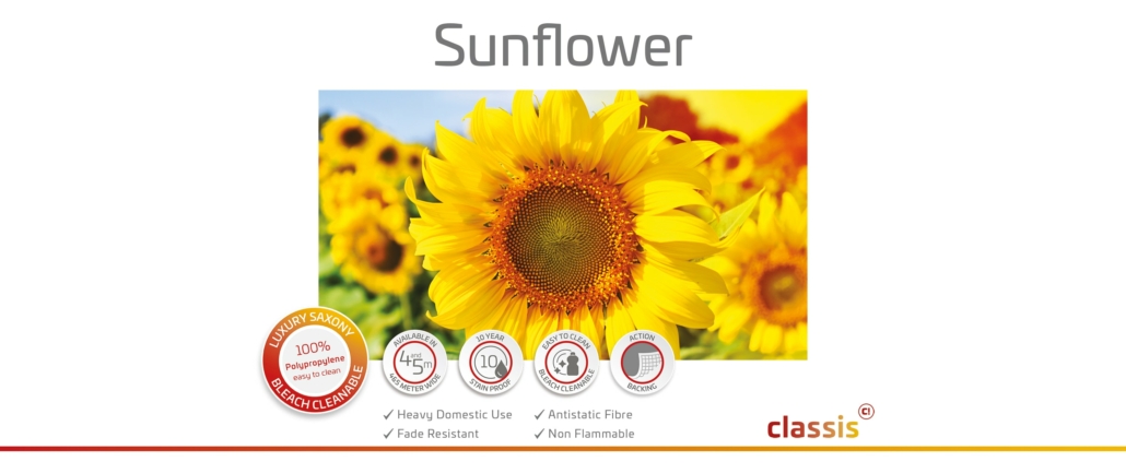 Sunflower Website 3000x1260px