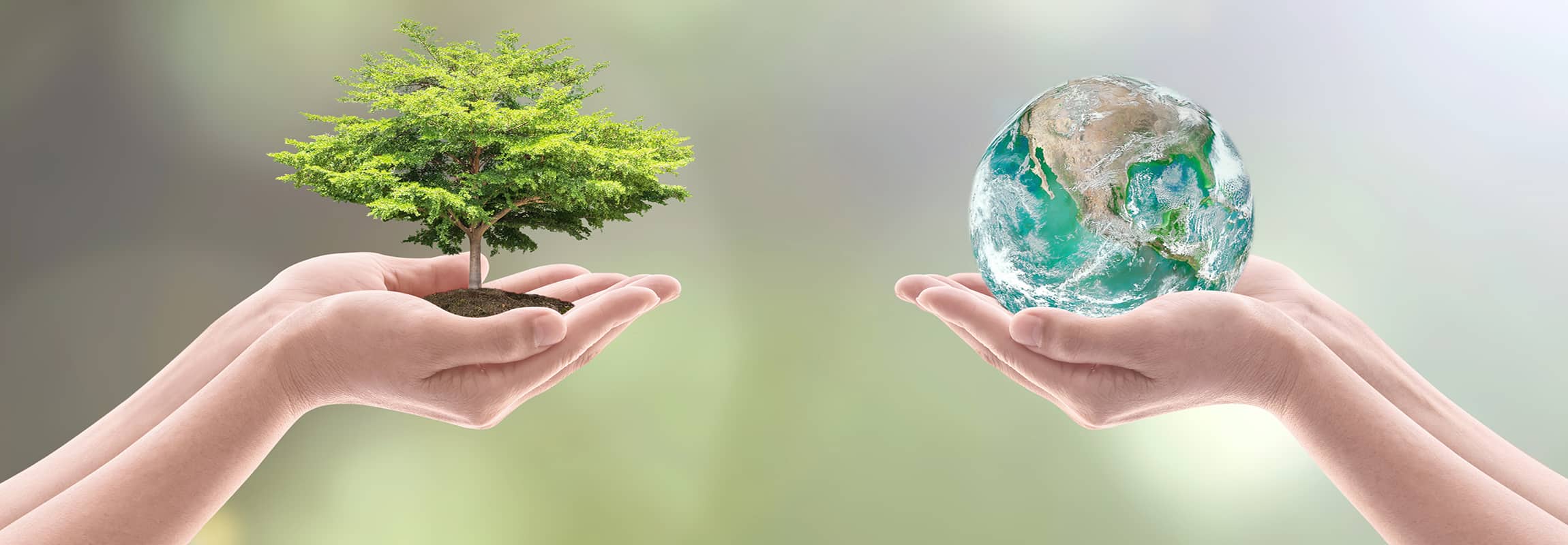 World,Environment,Day,Concept,With,Tree,Planting,And,Green,Earth